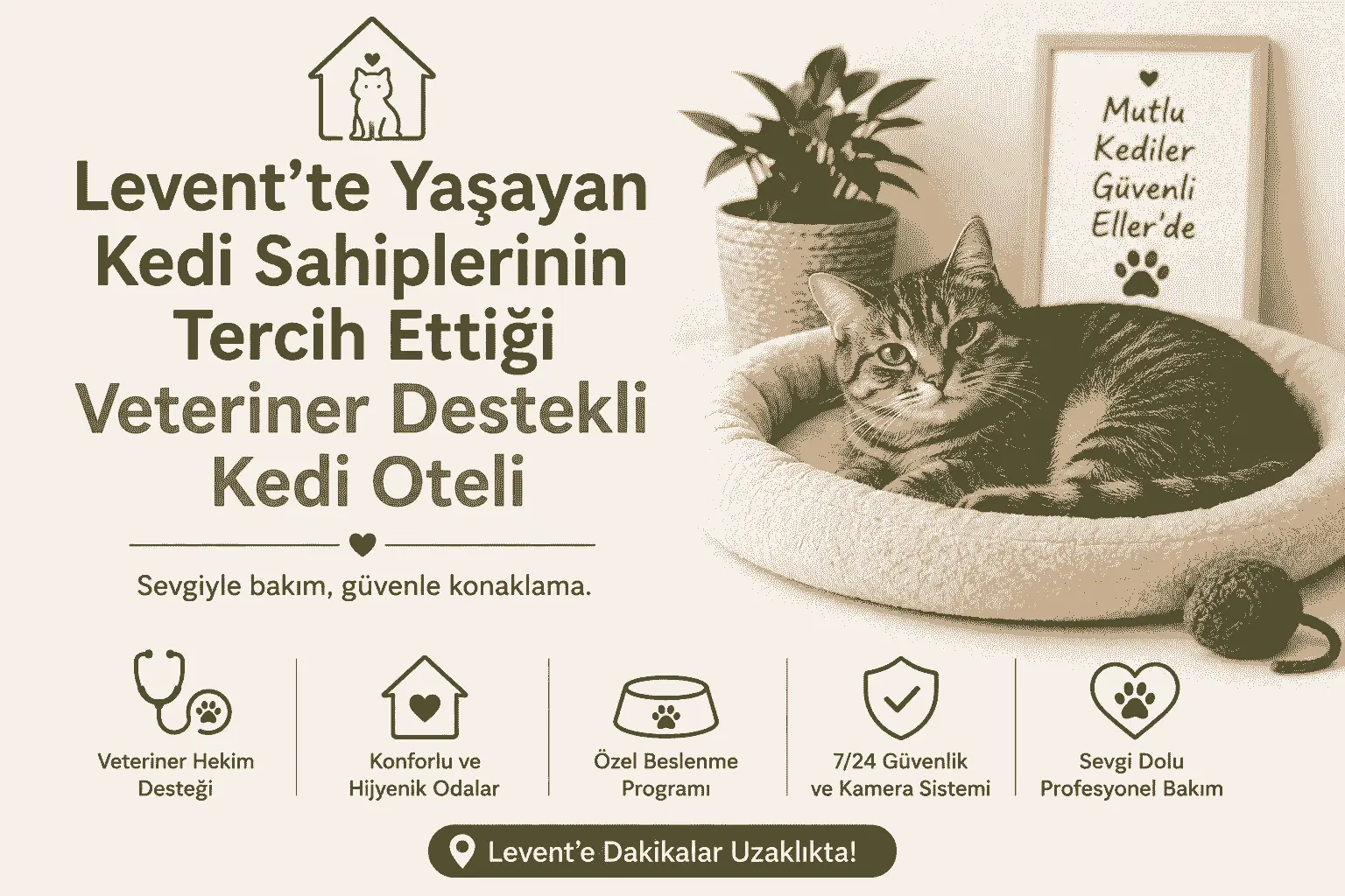Resim