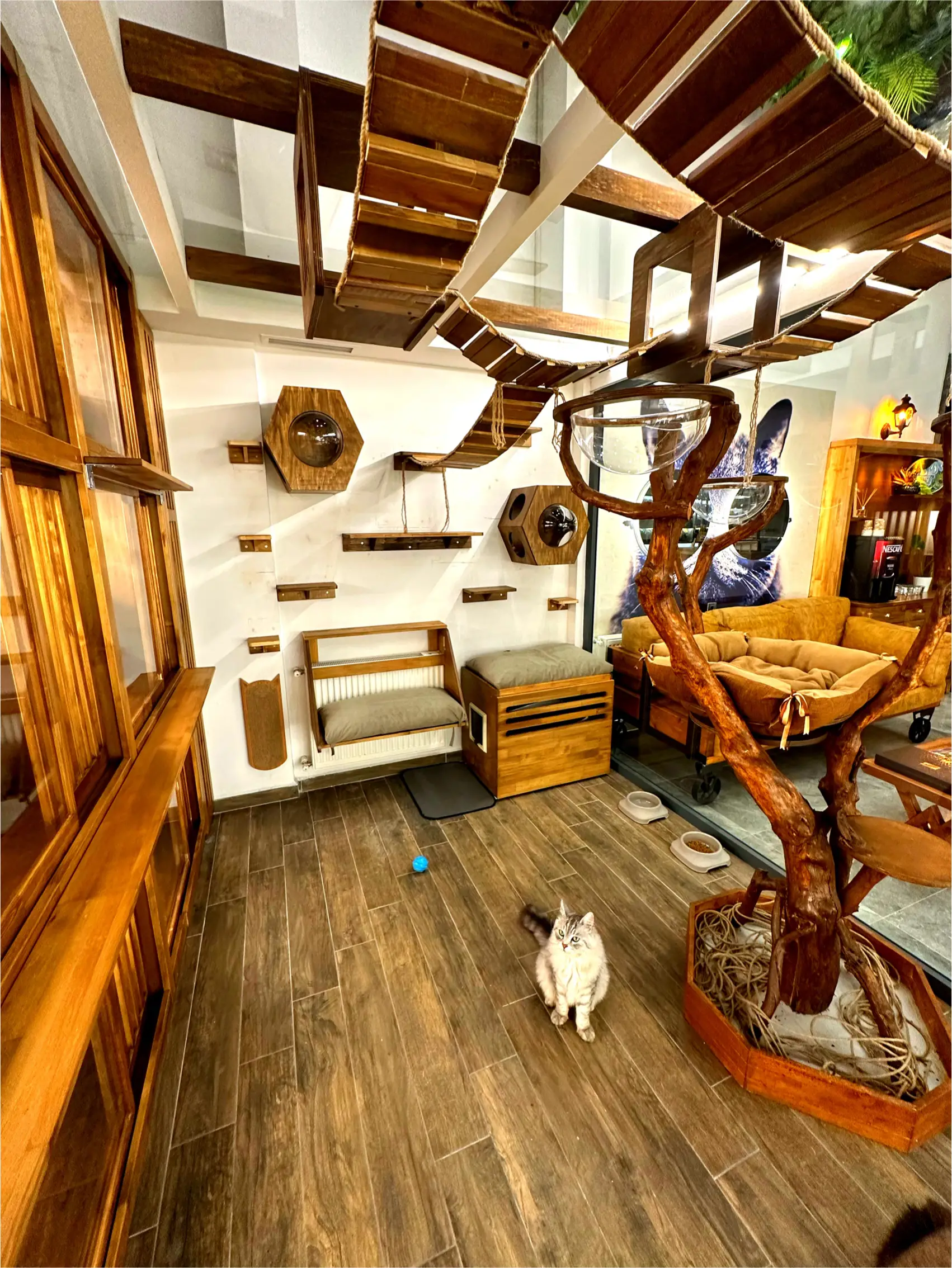 İstanbul Pet Oteli (Avrupa Yakası)